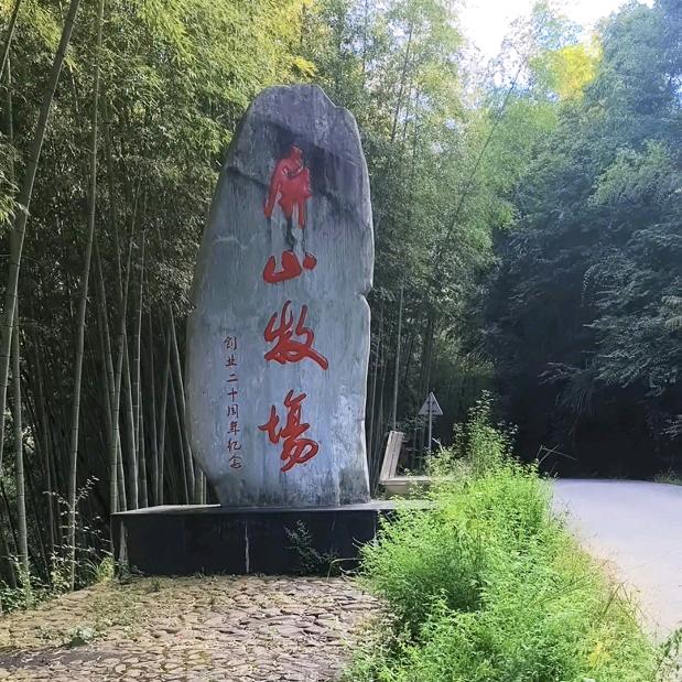 屏山旅游区