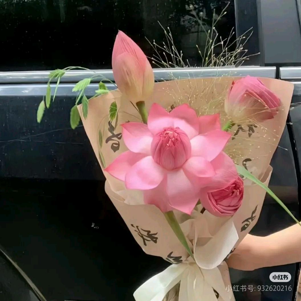 洋洋好物严选