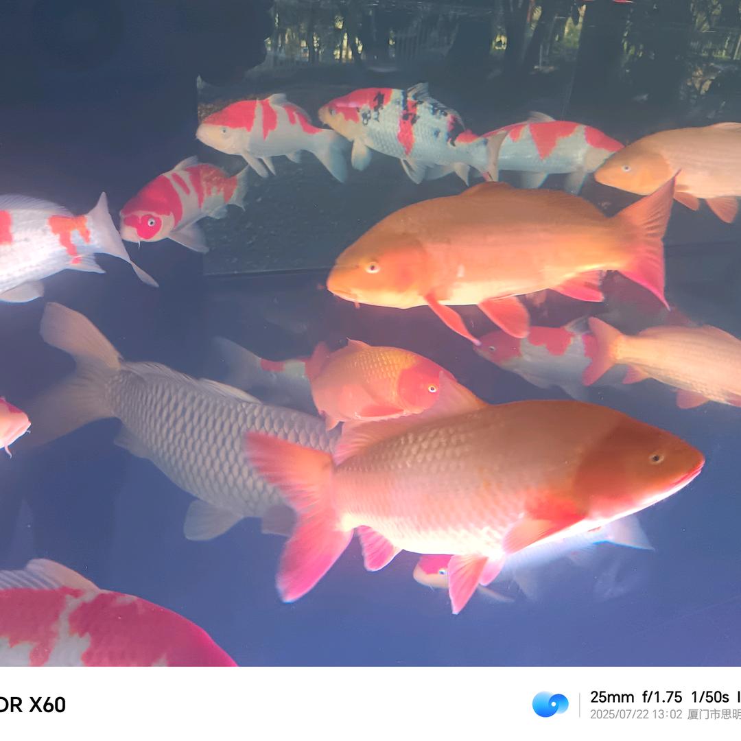不要怪我狠，曾经我比谁都善良