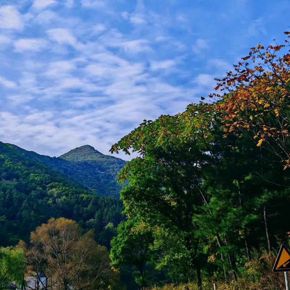 (๑•́ωก̀๑)