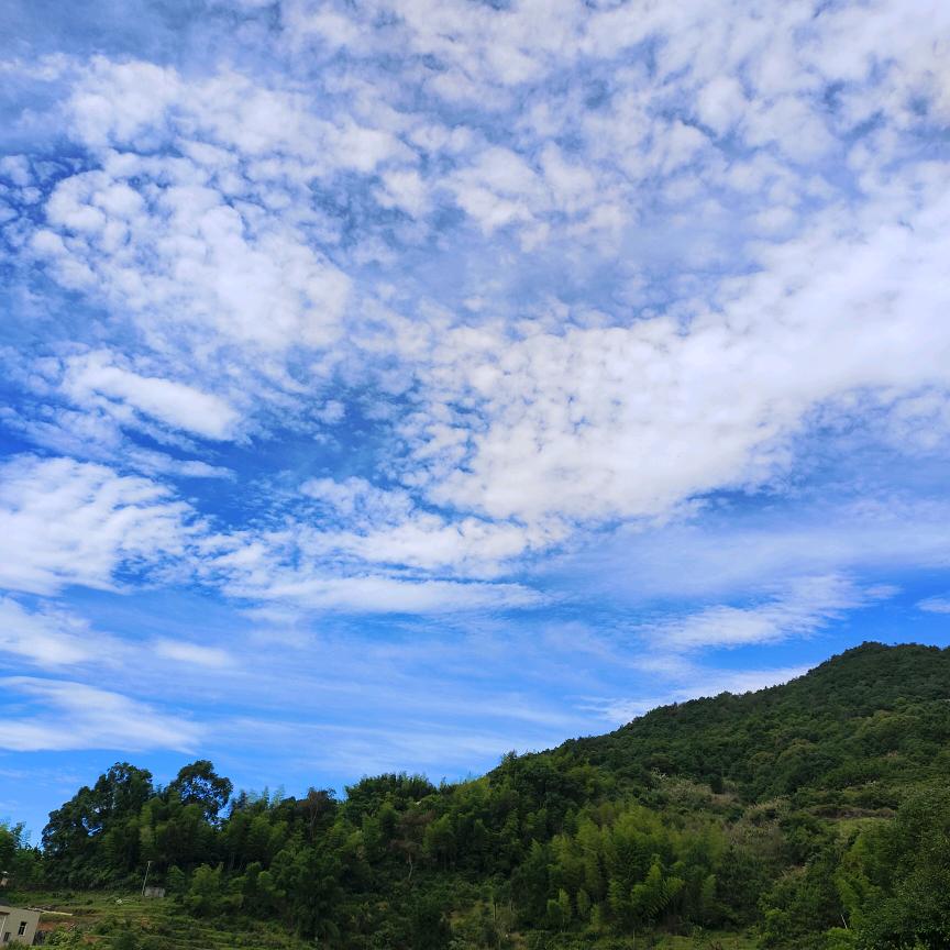 壹  辈  紫 🍀