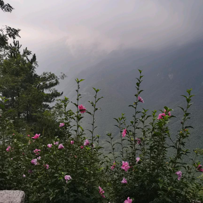 开心快乐每一天