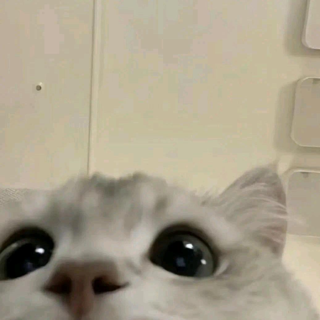 soul for、example 格力