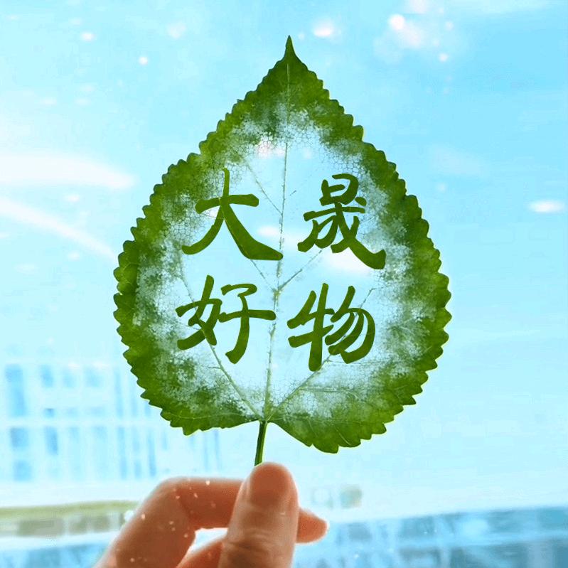 大晟百货