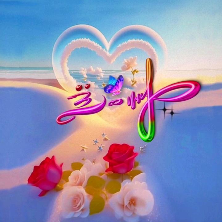 🇨🇳快乐飞翔🇨🇳