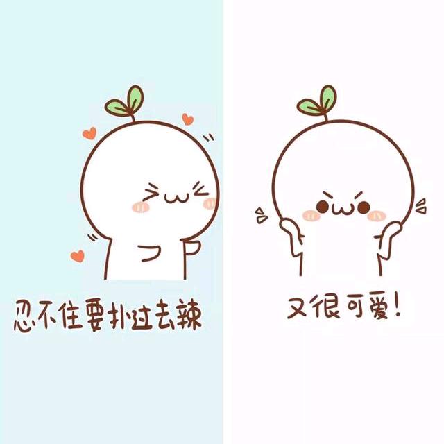 呆小娟