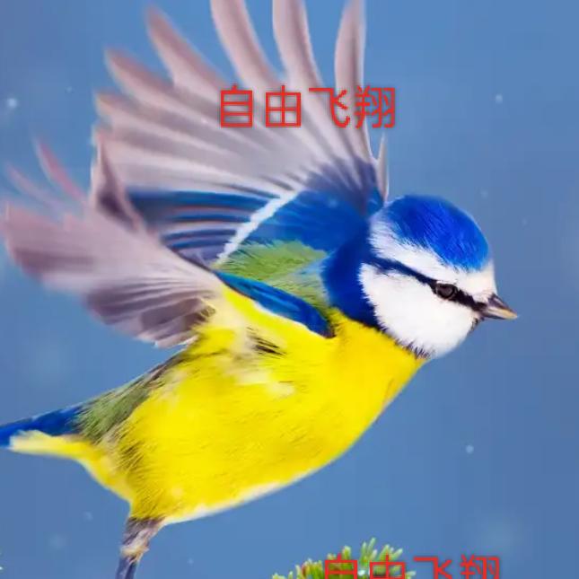 岁月静好
