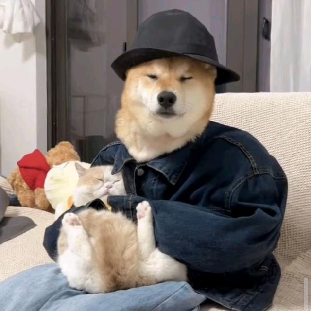 杨羊爱搞笑