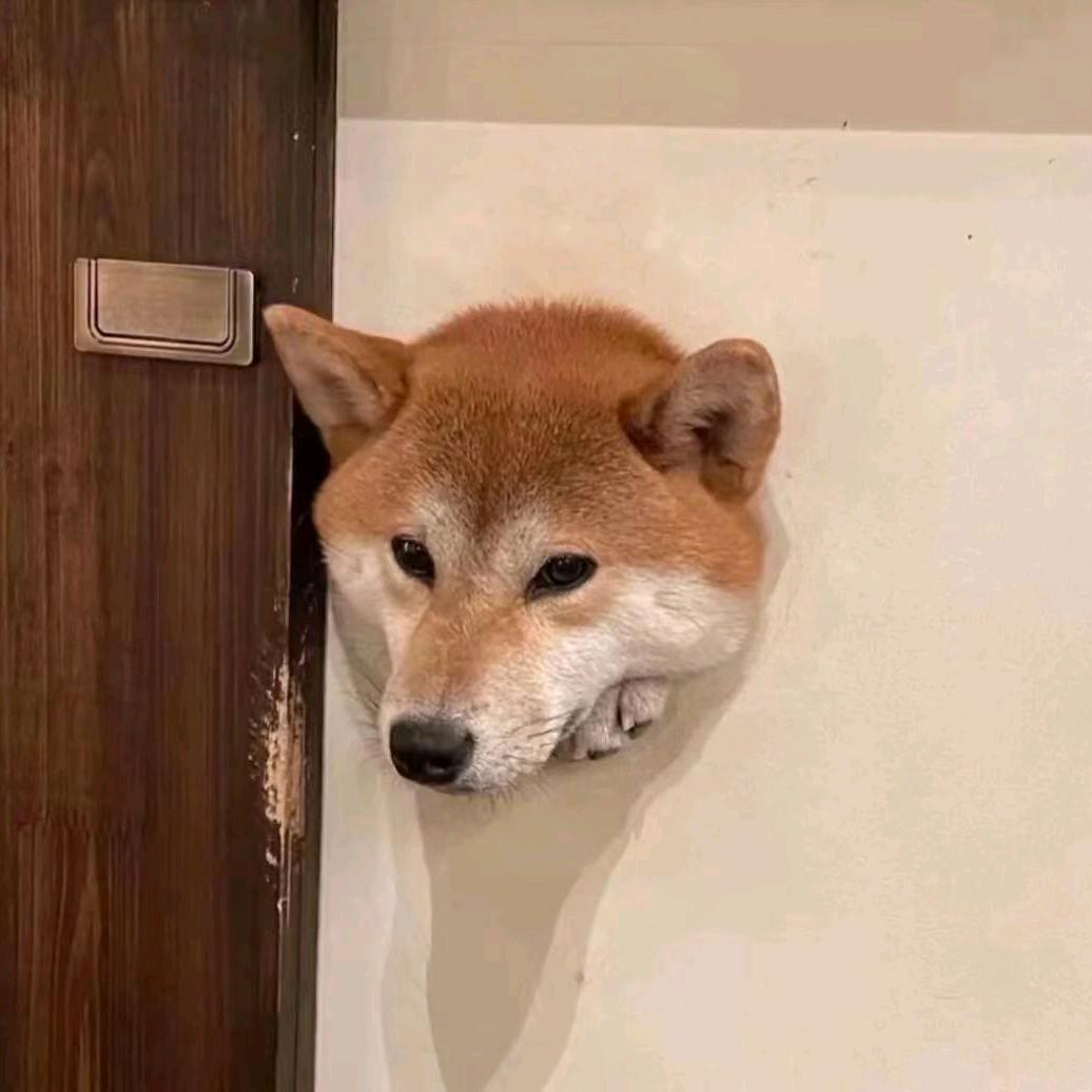 分享欲