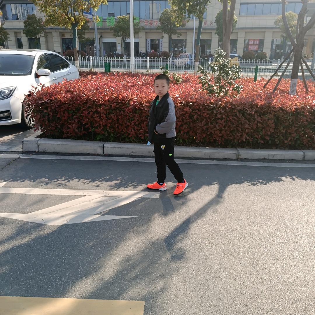 繁花装点时光