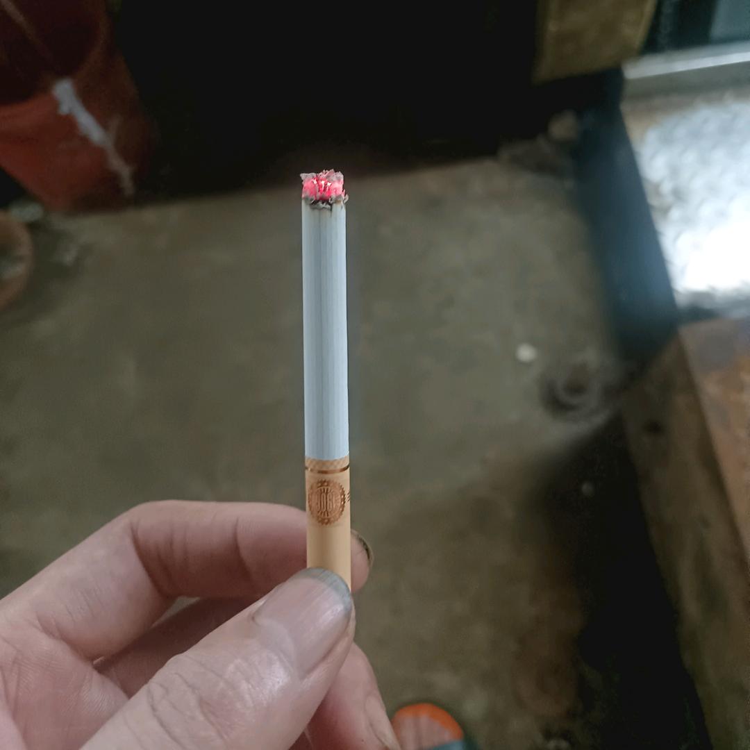 %%洋葱