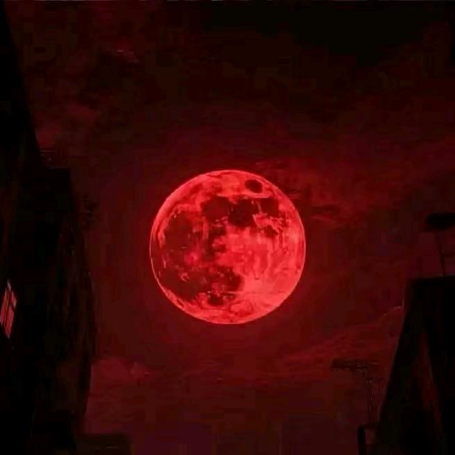 进了吗？进不进你不知道吗