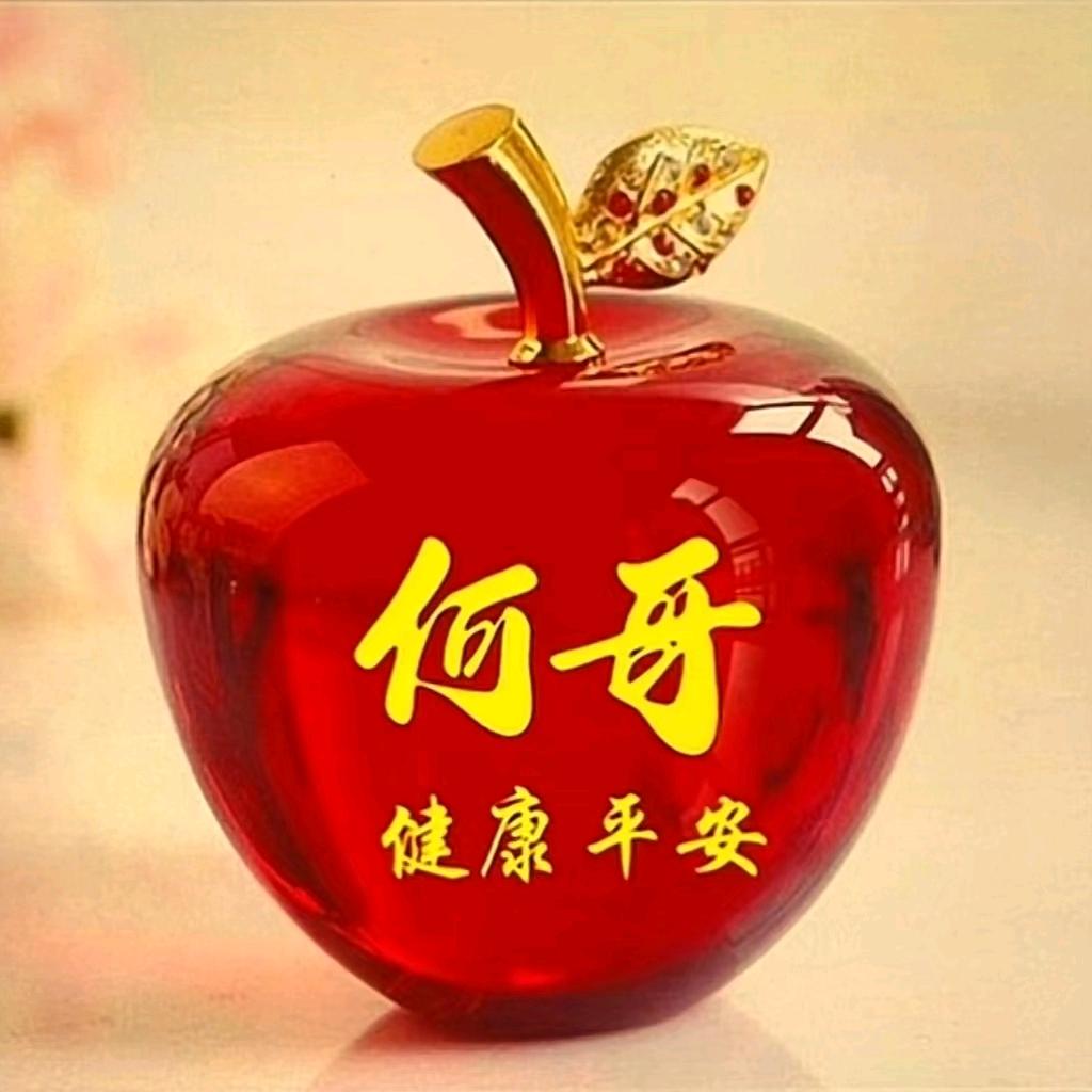 照亮何哥