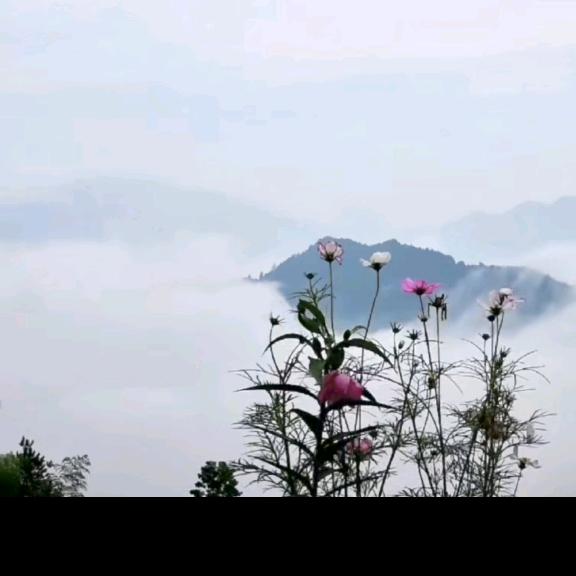 阳光
