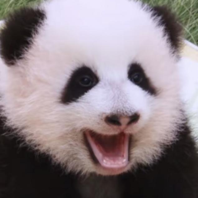 永恒的承诺
