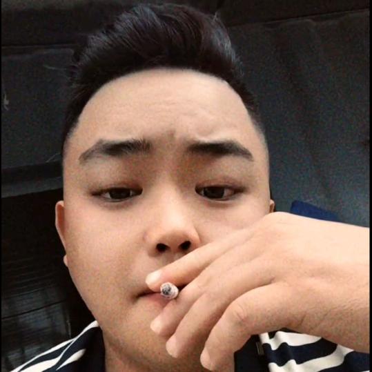 秦胖胖呀