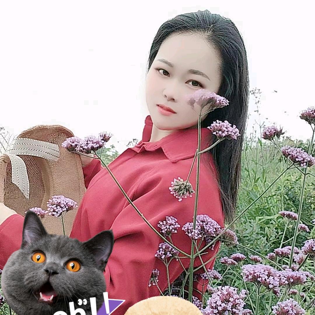 玲玲呀！