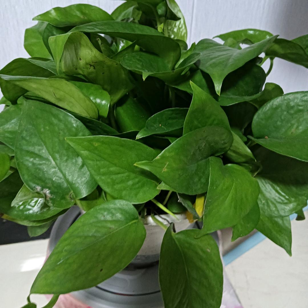 缘分