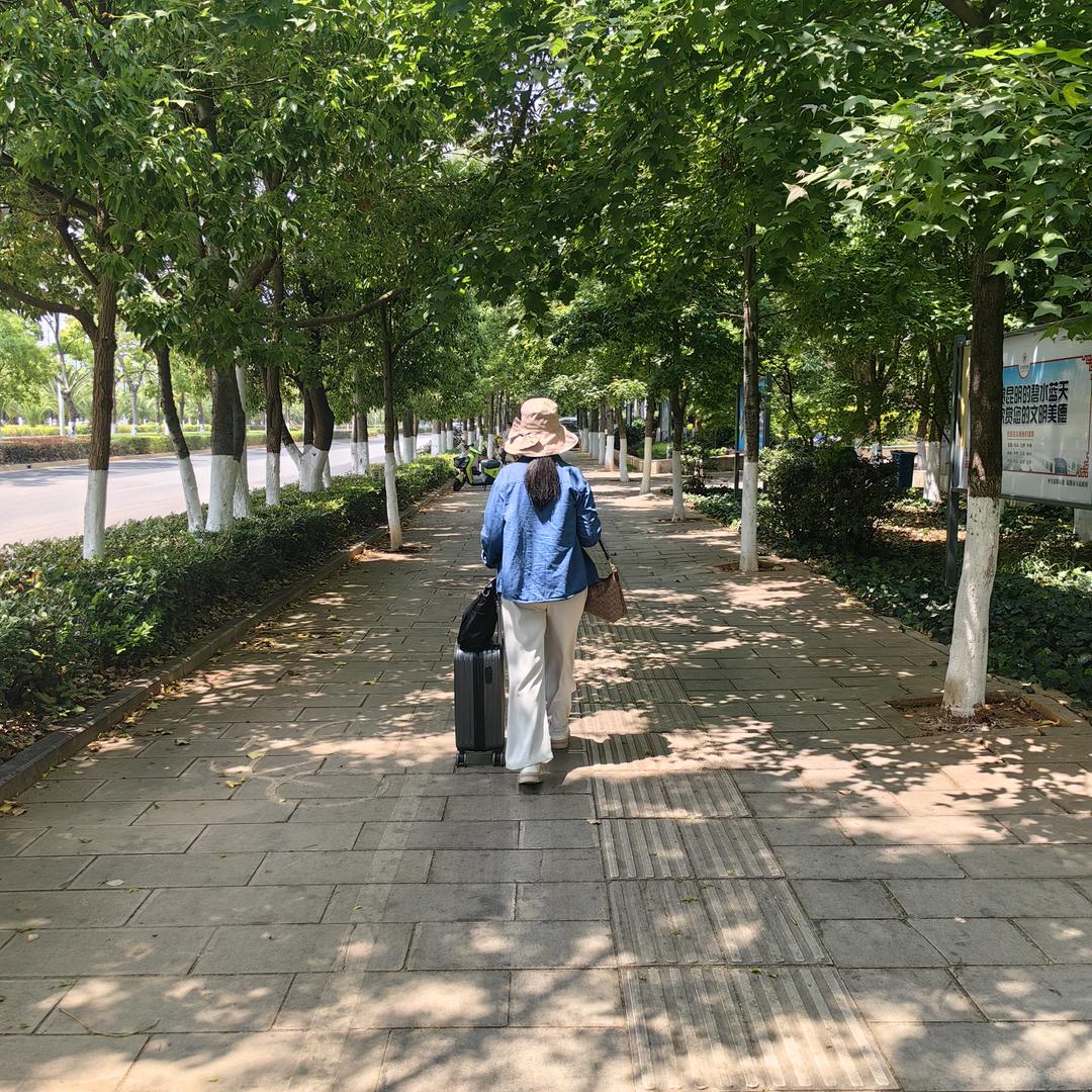 刘丹