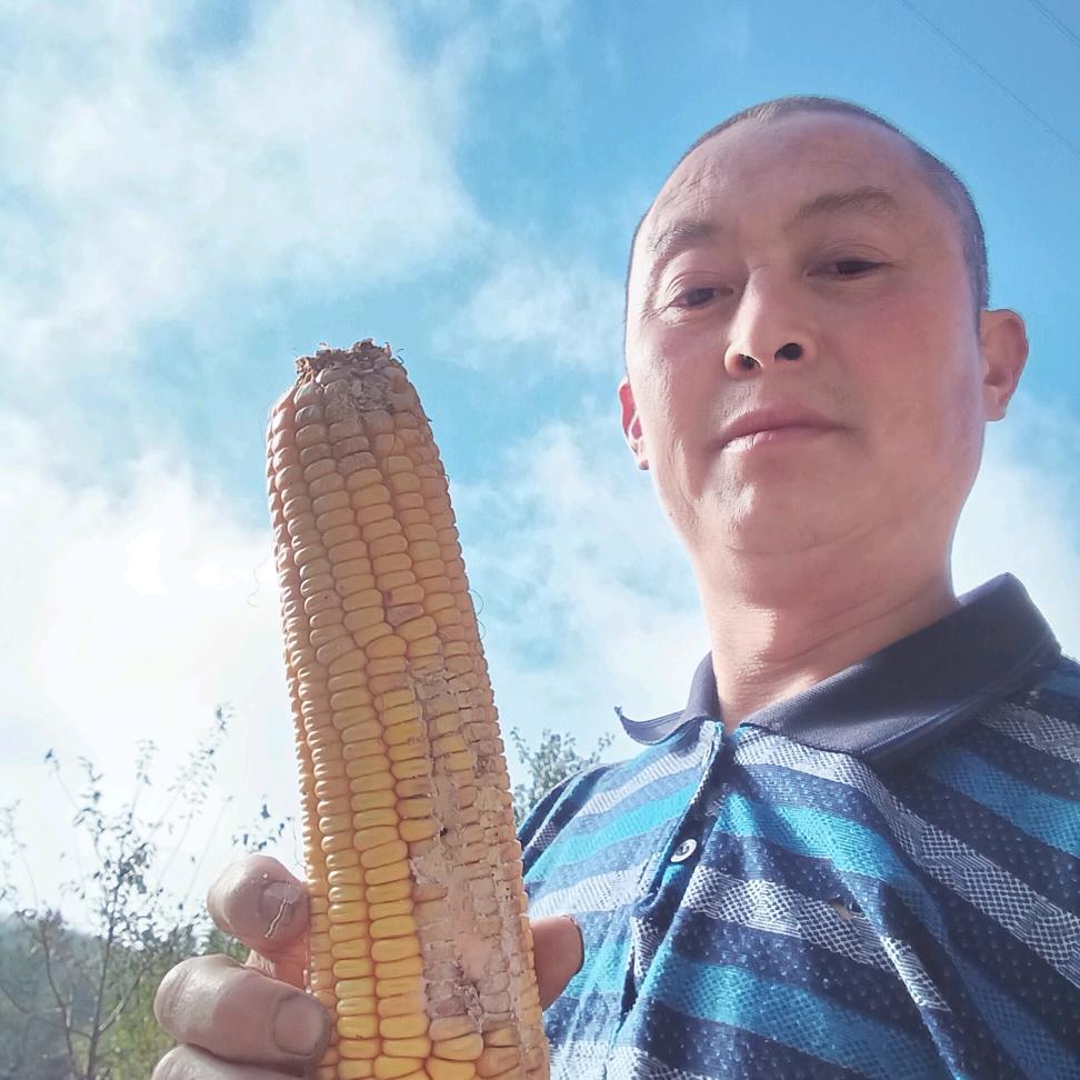 刘砖匠