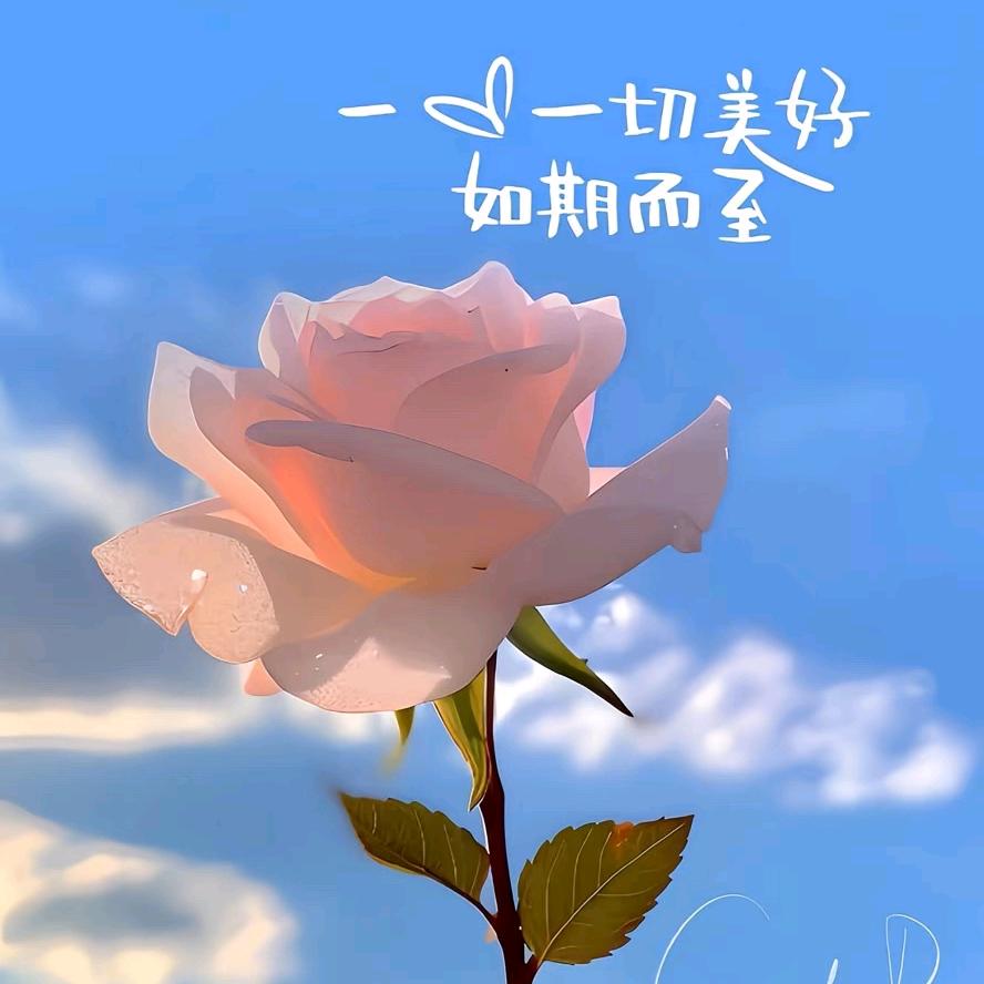 灰太狼