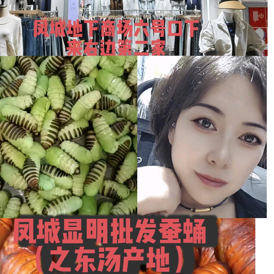 凤城显明蚕蛹批发(之东汤产地)