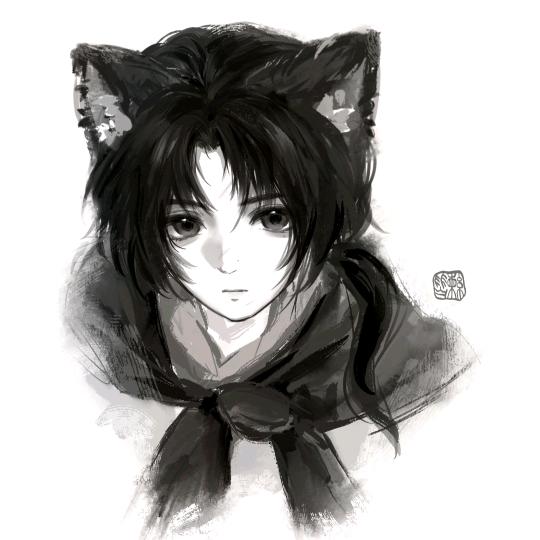 OK了小张