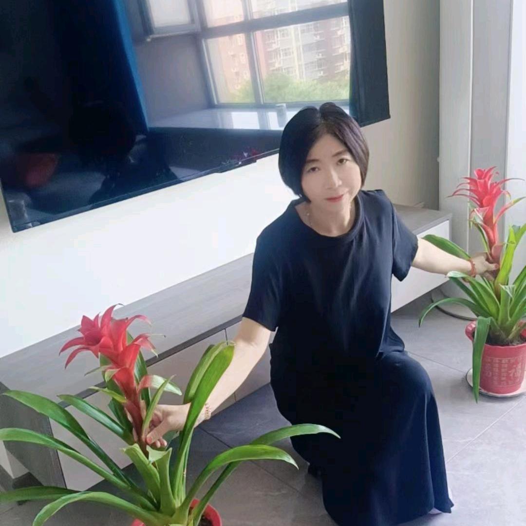 牡丹好物