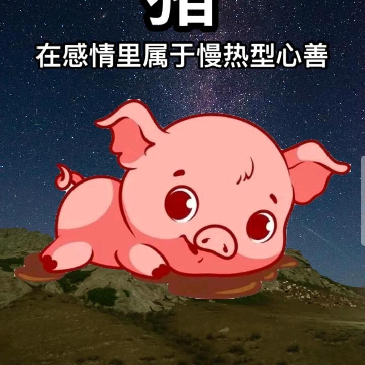 海南猪猪姐