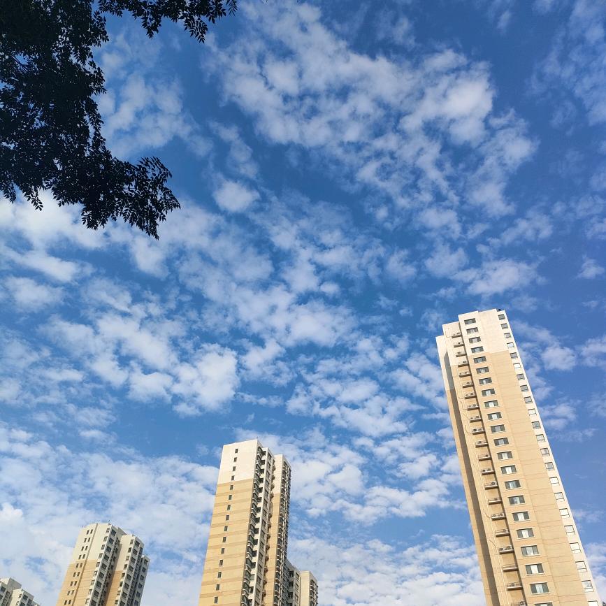小老鼠