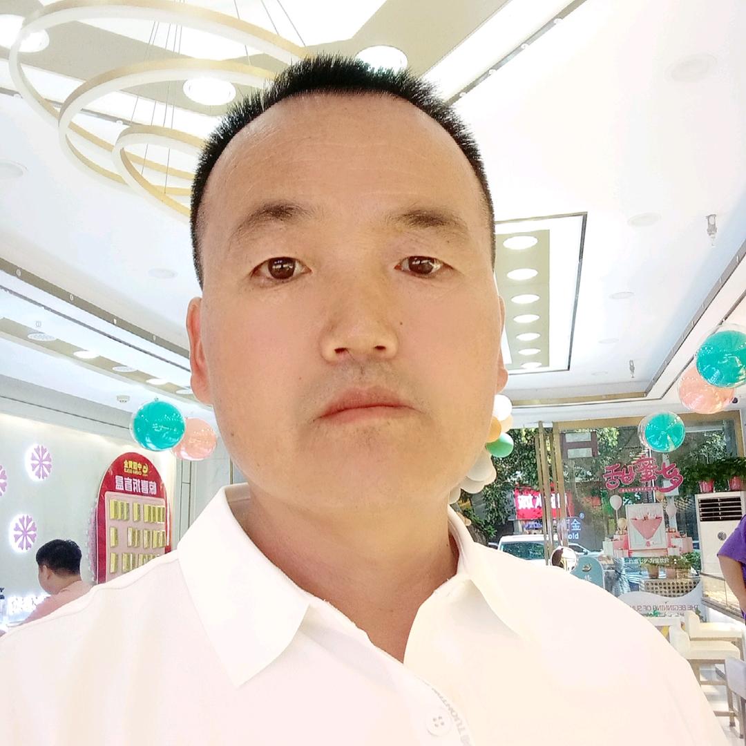 杨哥自媒体