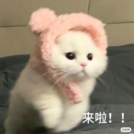 络绎
