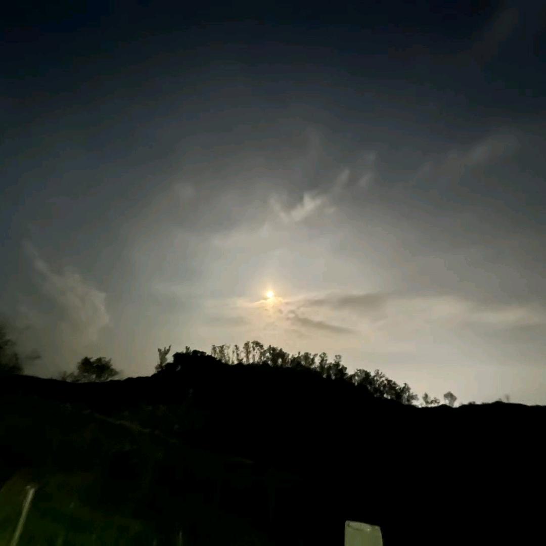 @我有病别靠近我