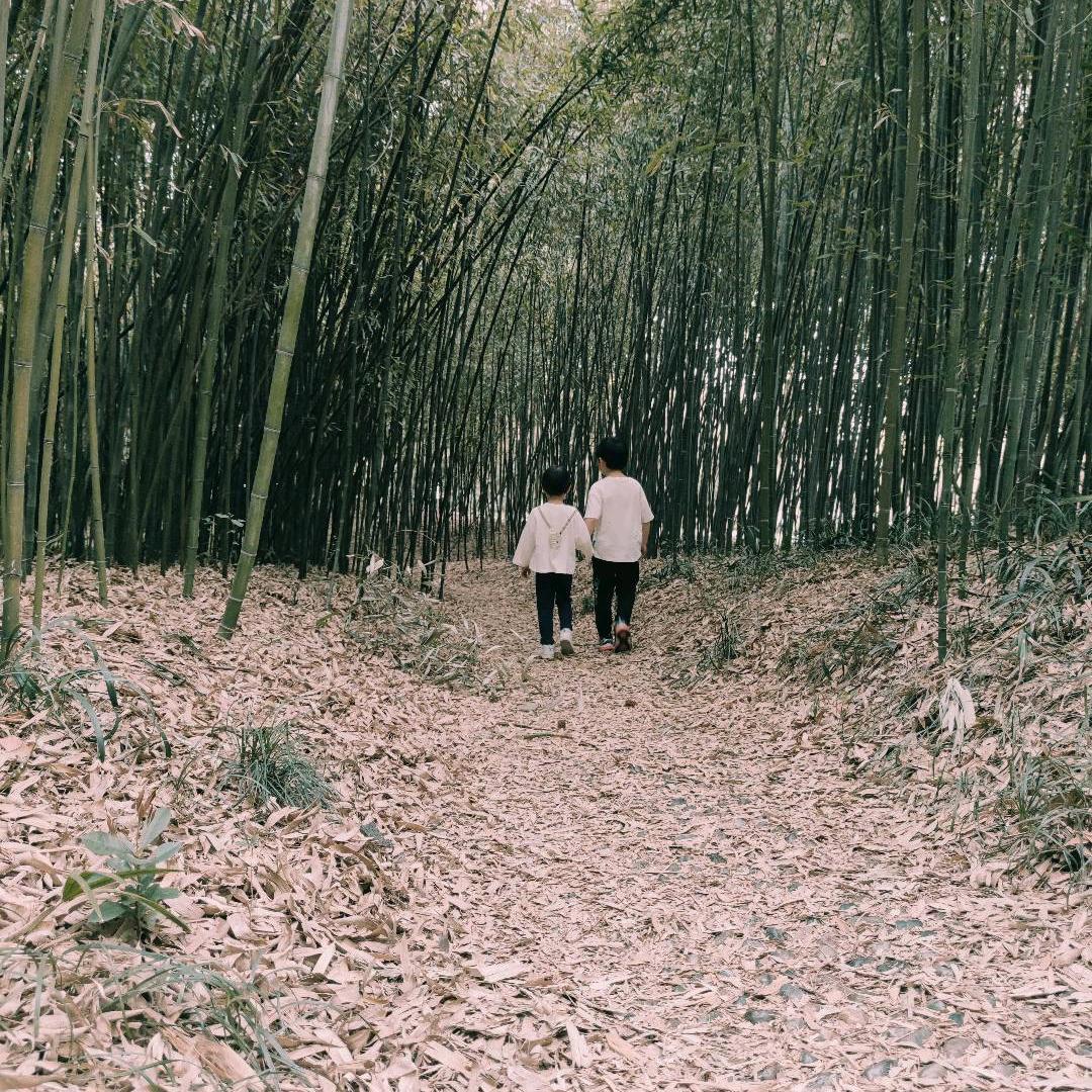 翕