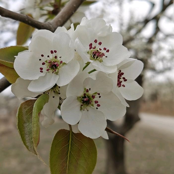 💫不发脾气 ᨶ႒ᩚ只发财✨