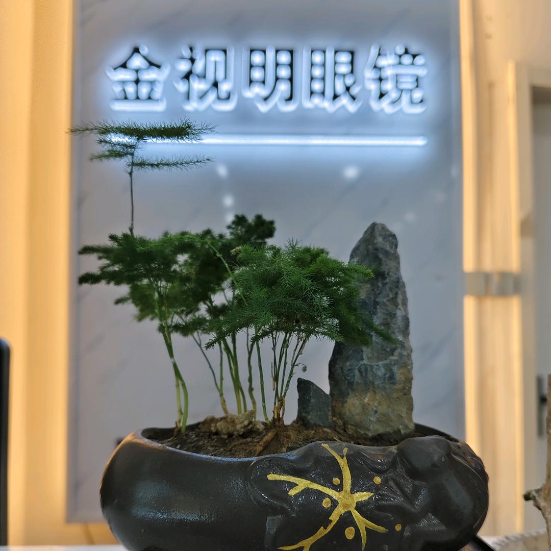 ◎◎金视明