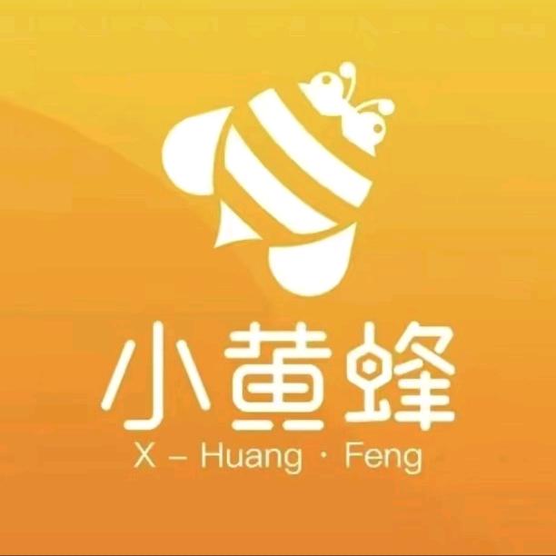 全国小黄蜂家政保洁