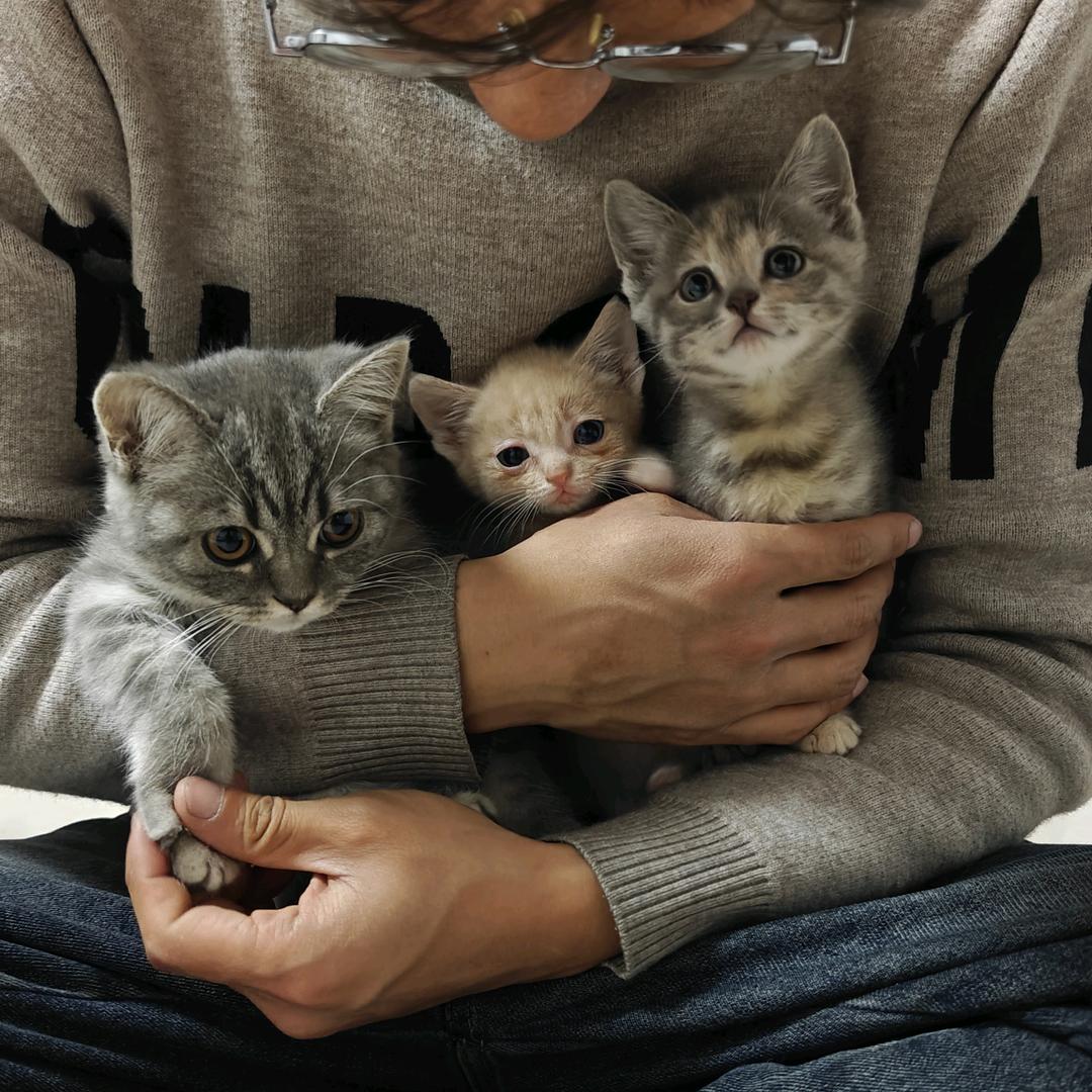 Summer   de    咖啡