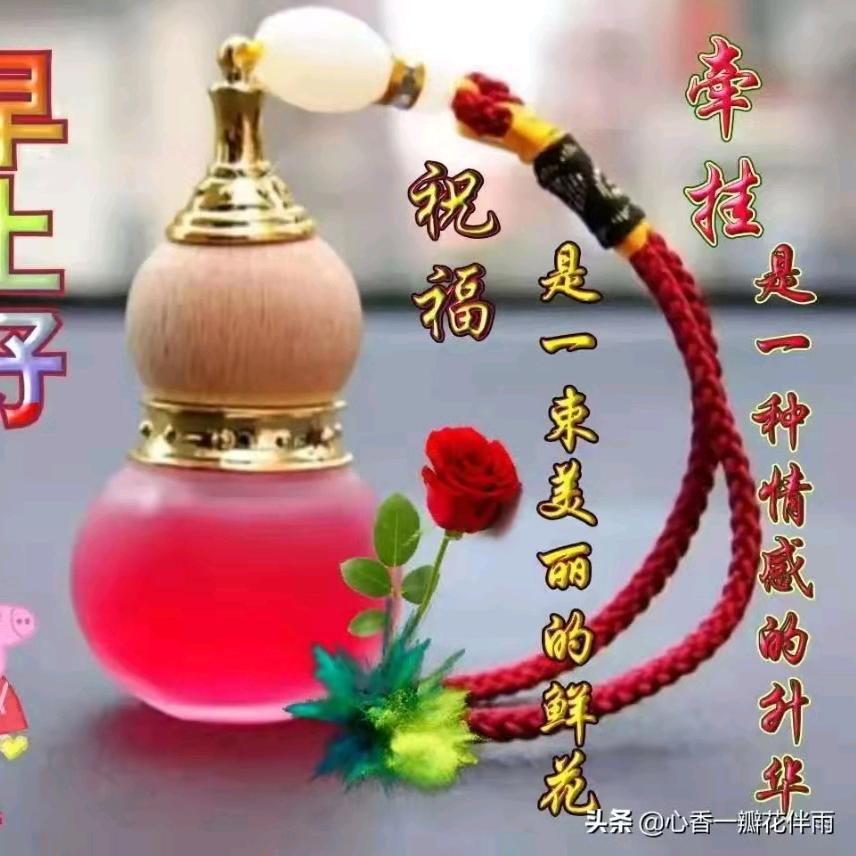 带刺的玫瑰。