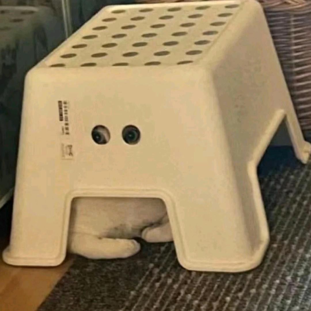 嘎嘎