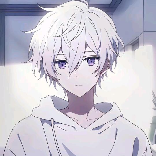小骑士