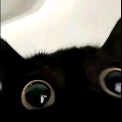 。。