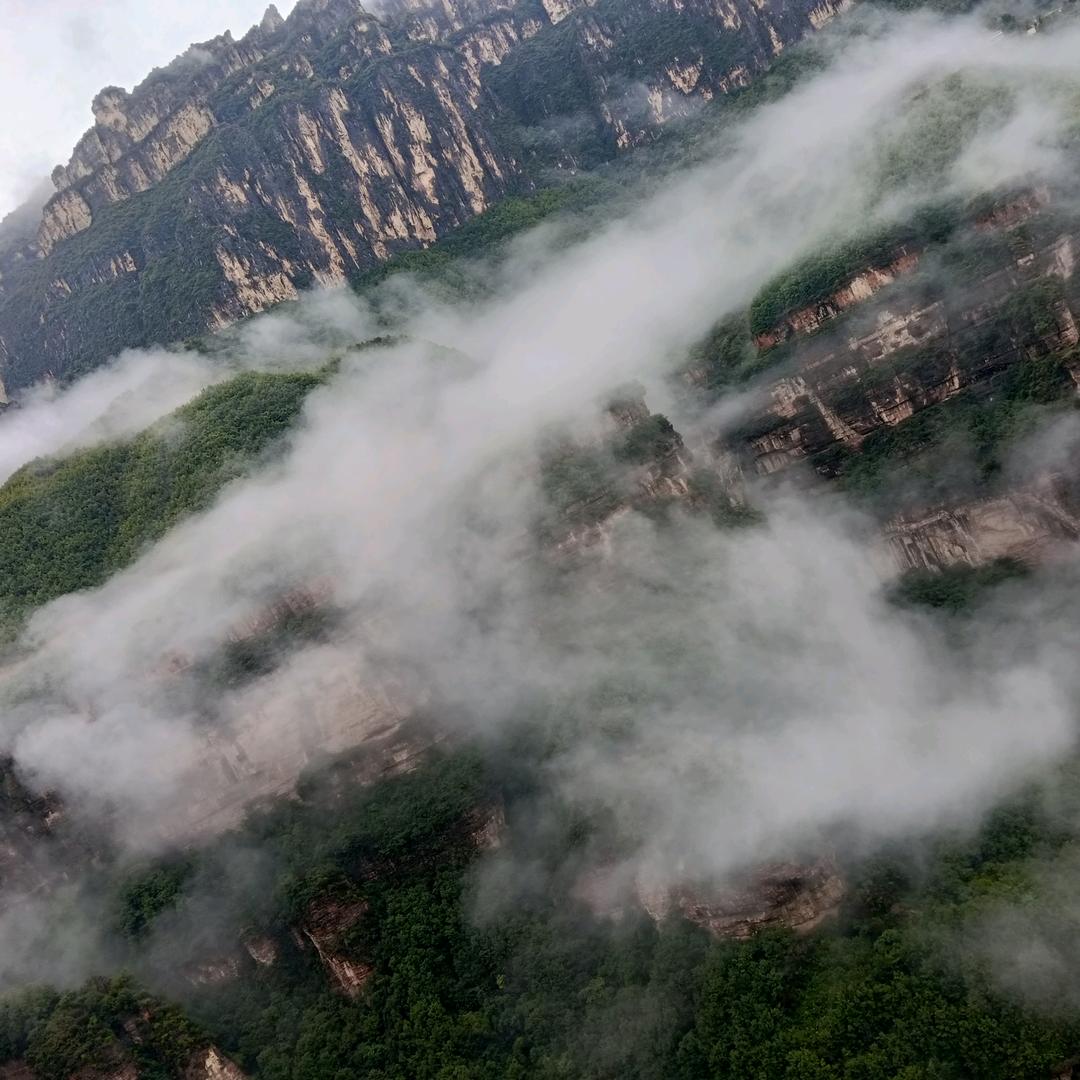 户外拍摄(炮子)