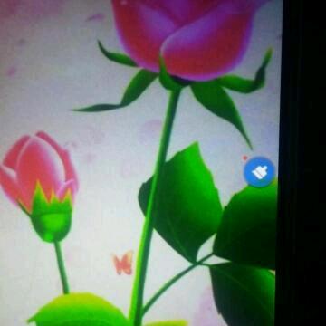 🌹🌹桃李芬芳🌹🌹（私信勿扰）
