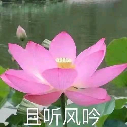 知足常乐