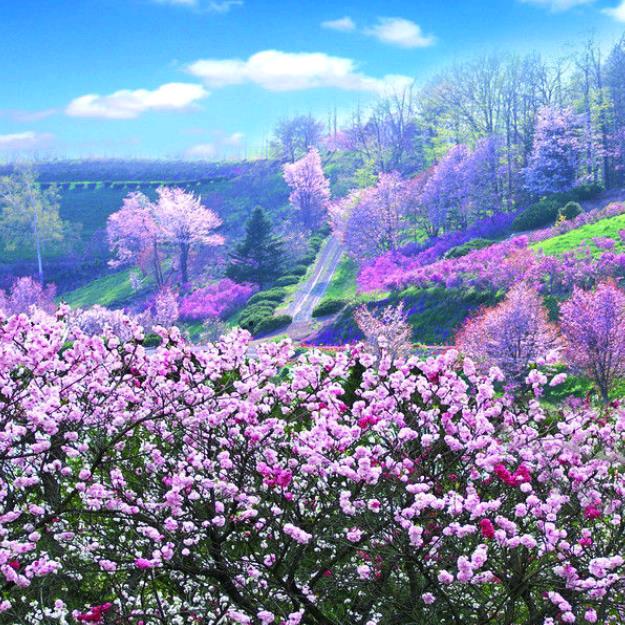 燕子老师家庭缝补