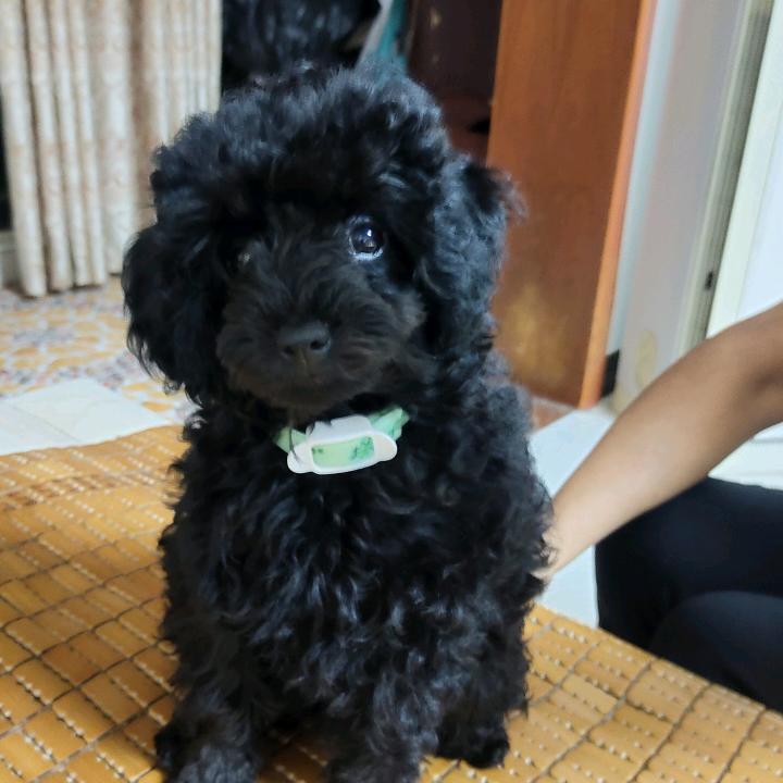 信义走四方