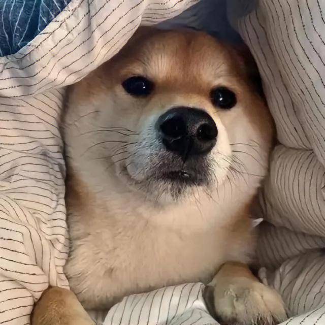 🇨🇳