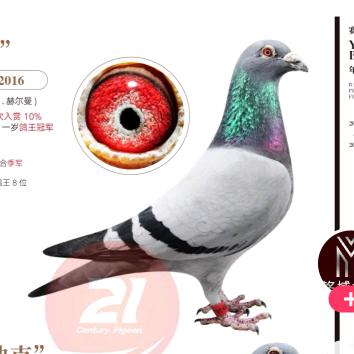 冀翔园育种中心