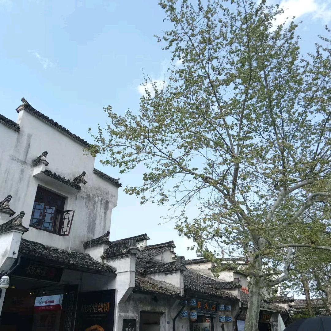 健康就好